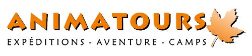 Animatours logo 2023